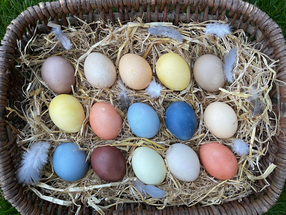 How to dye your own Easter eggs