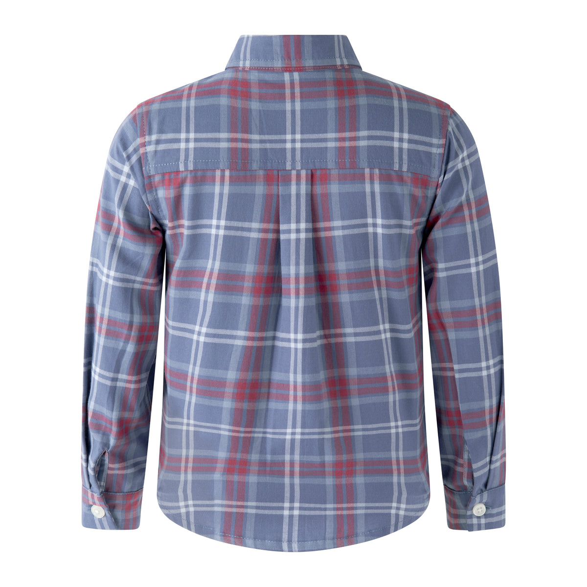 Blue Check Shirt