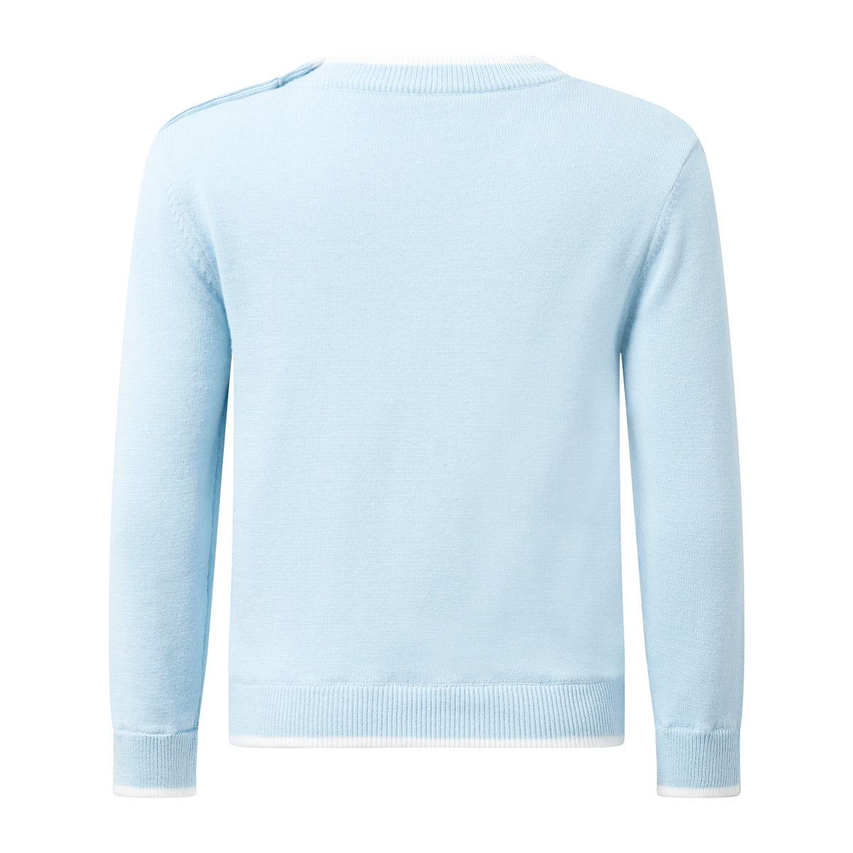 Blue Puppy Sweater
