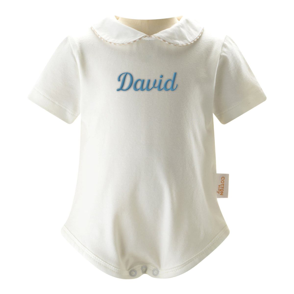 Gingham Peter Pan Collar Bodysuit