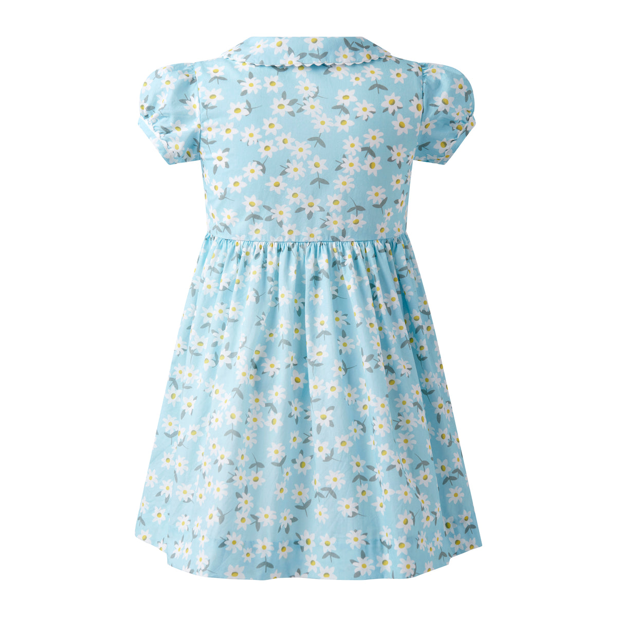 Daisy Button-Front Dress