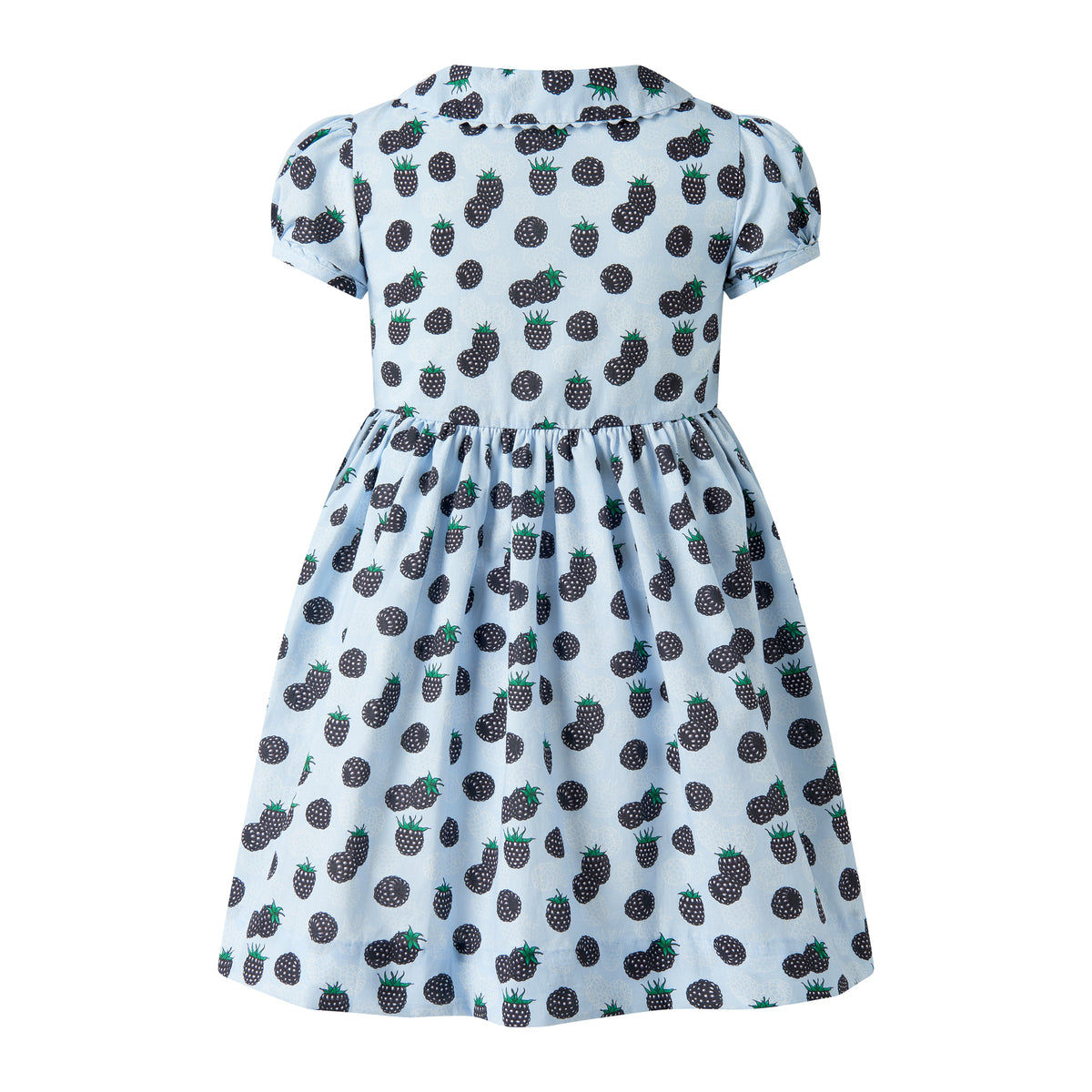 Blackberry Button-Front Dress