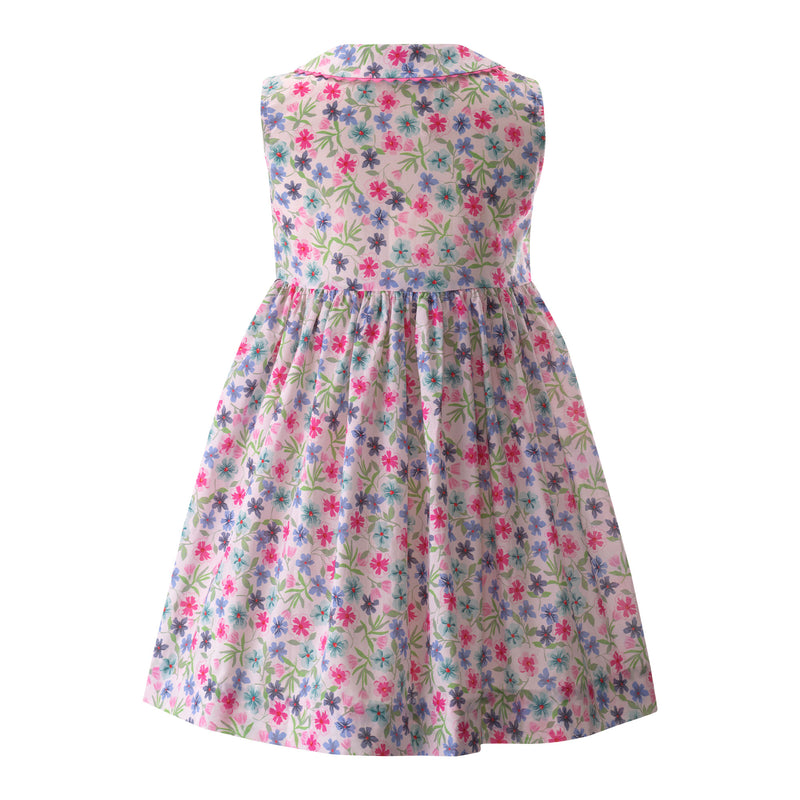 Aster Sleeveless Button-front Dress