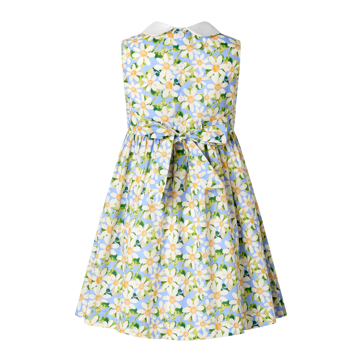 Daisy Peter Pan Collar Dress