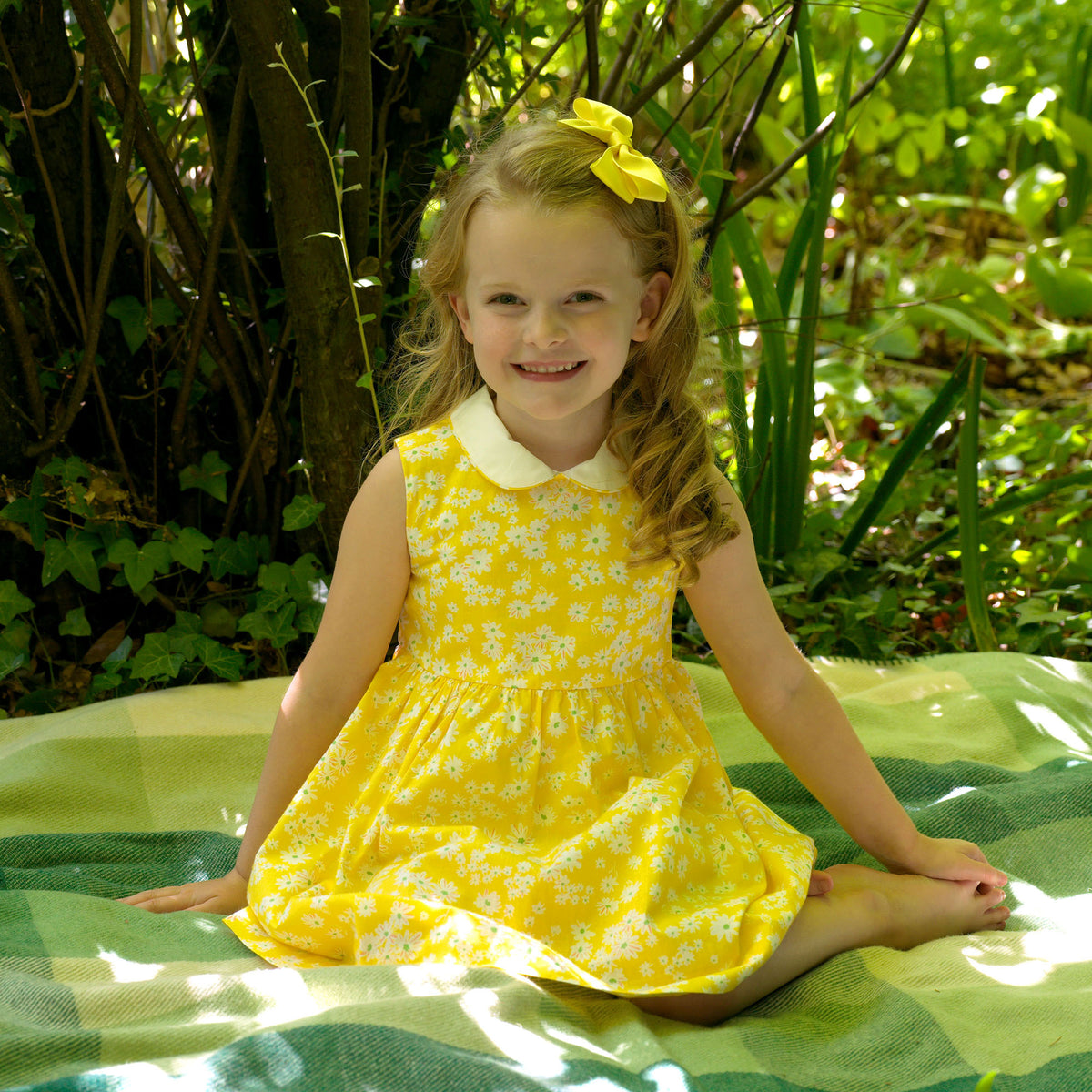 Daisy Peter Pan Collar Dress