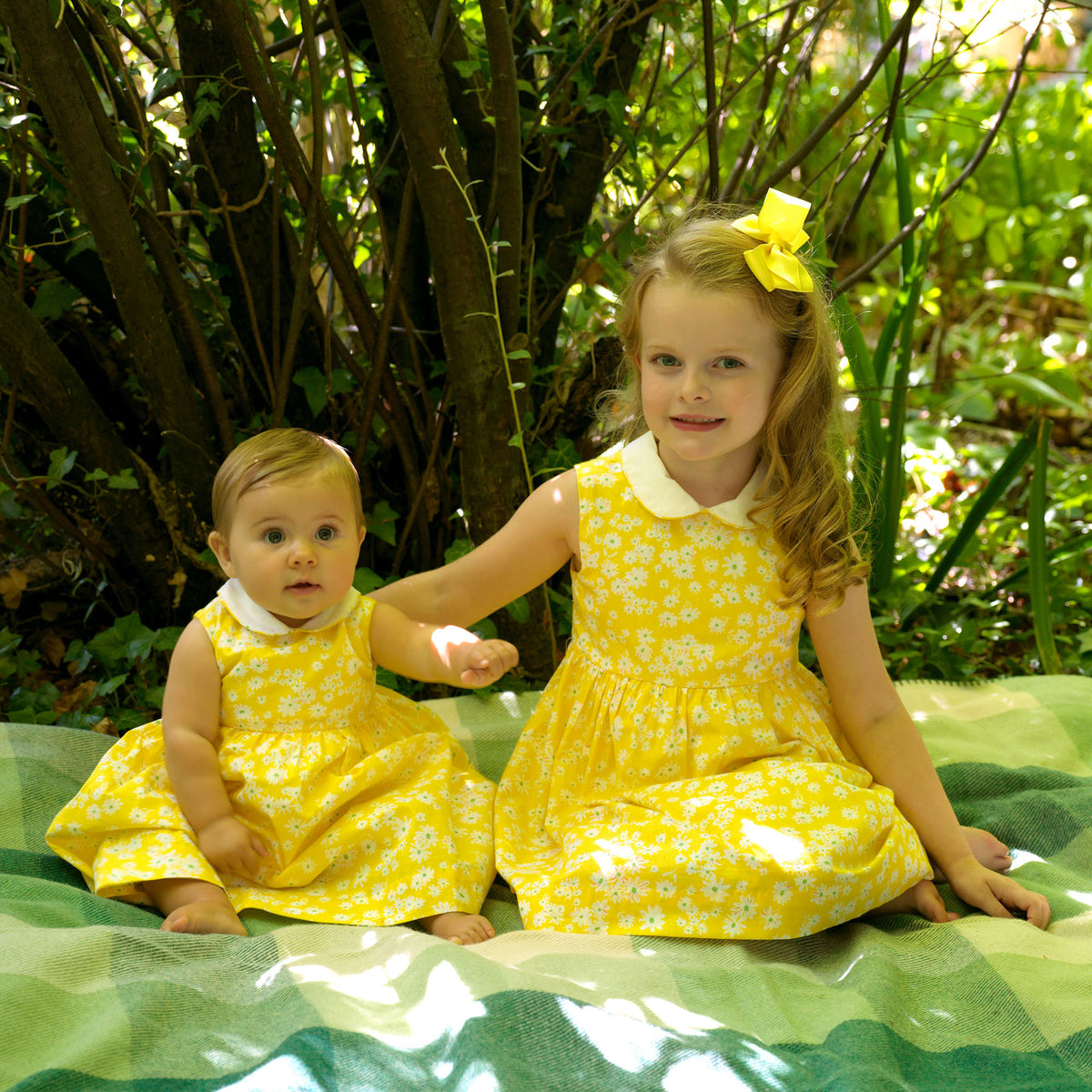 Daisy Peter Pan Collar Dress