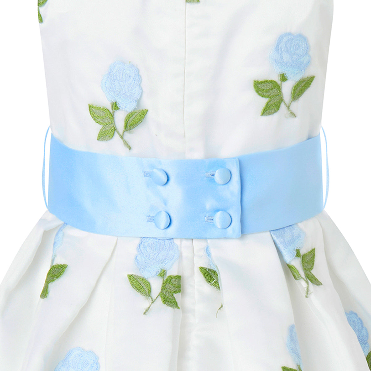 Blue Rose Embroidered Organza Dress
