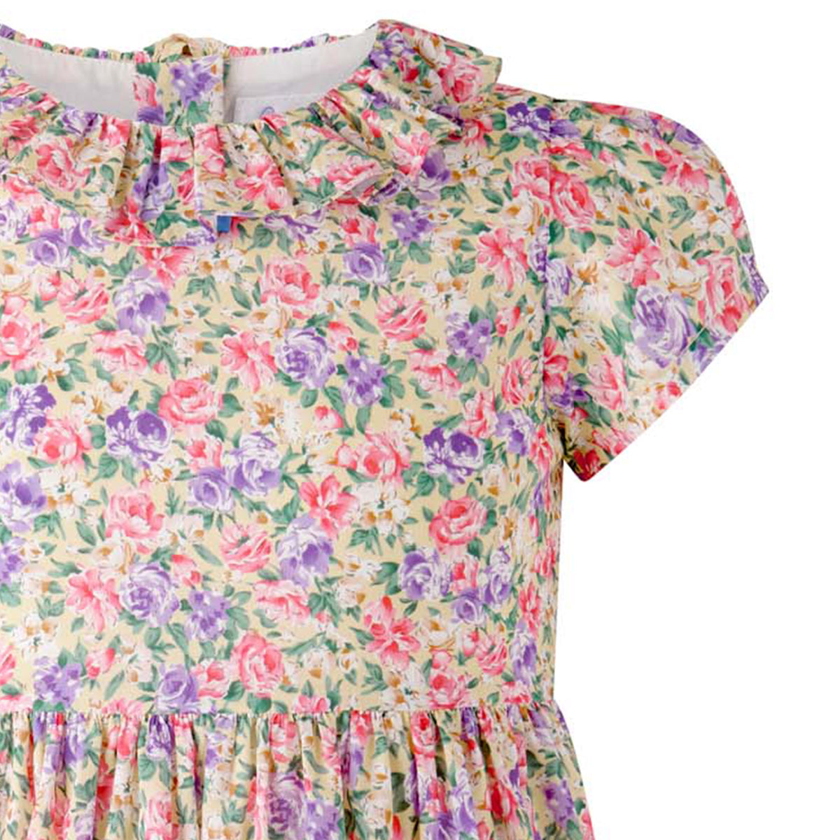 Vintage Floral Frill Collar Dress