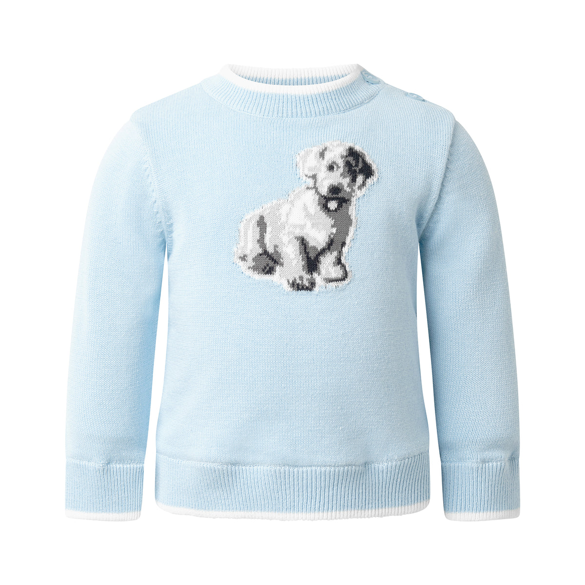 Puppy Sweater