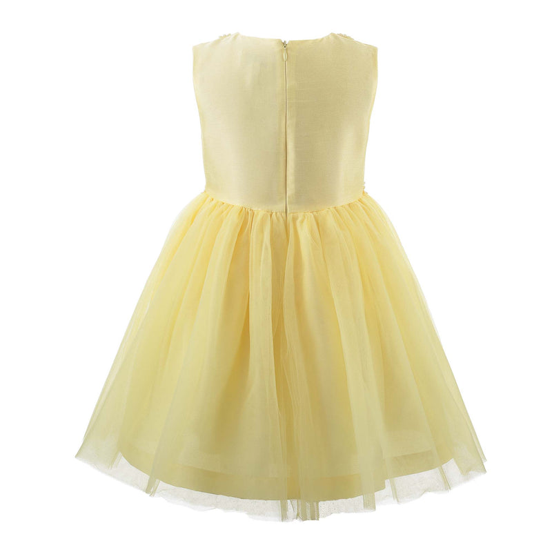 Yellow Daisy Tulle Dress