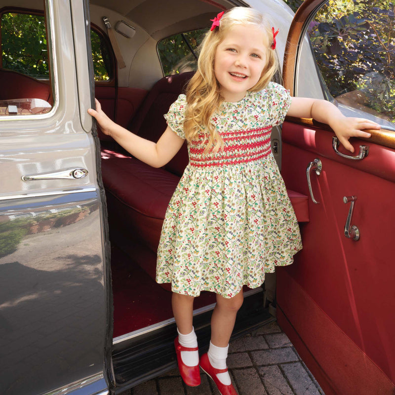 Christmas Botanical Dress