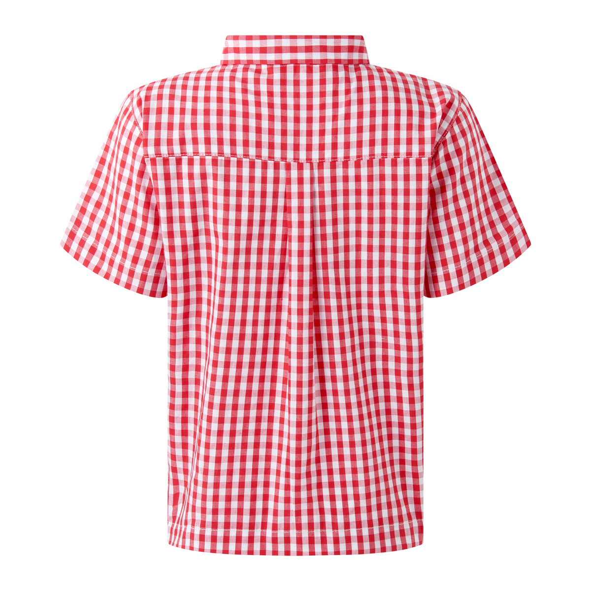 Red Gingham Shirt