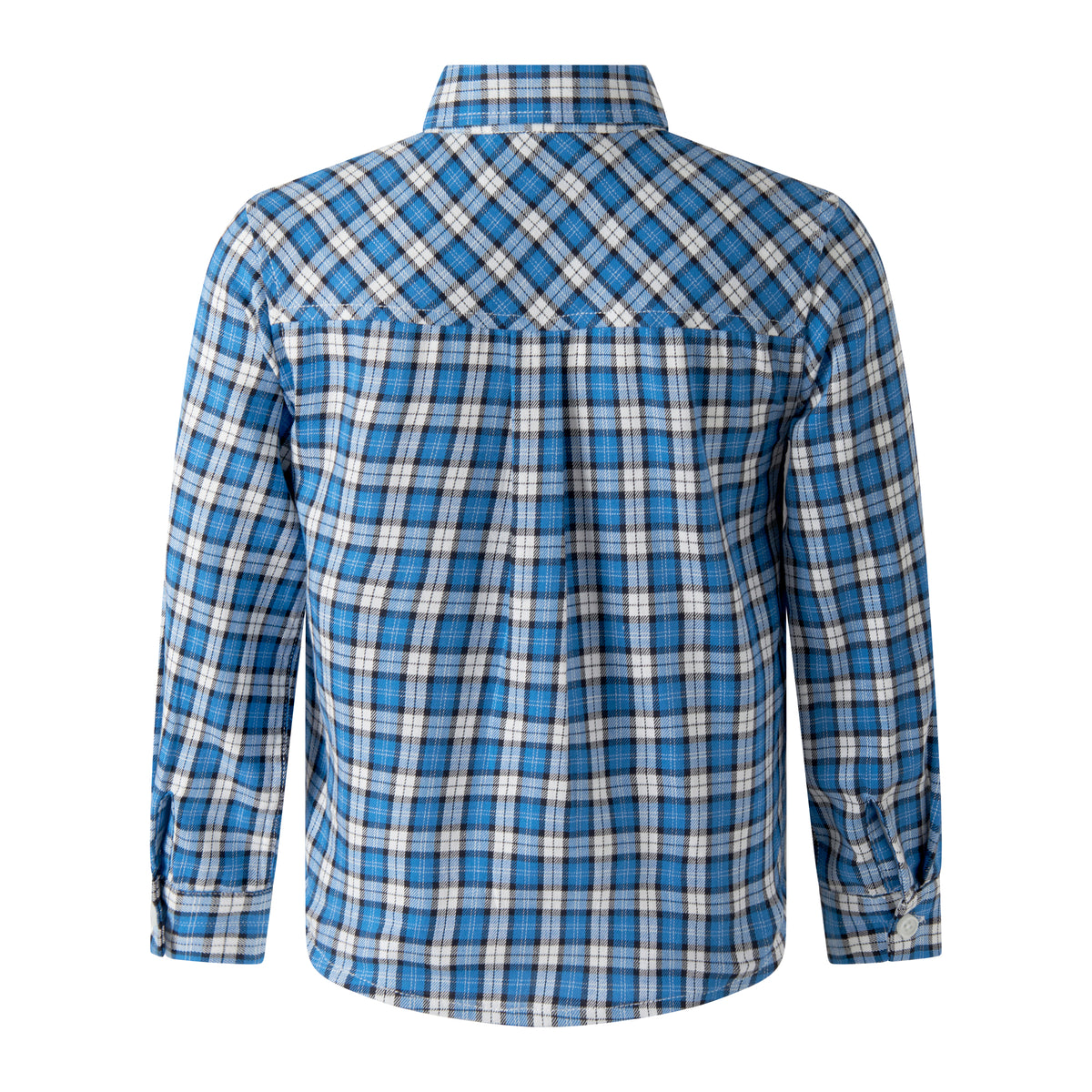 Blue Mini Check Shirt
