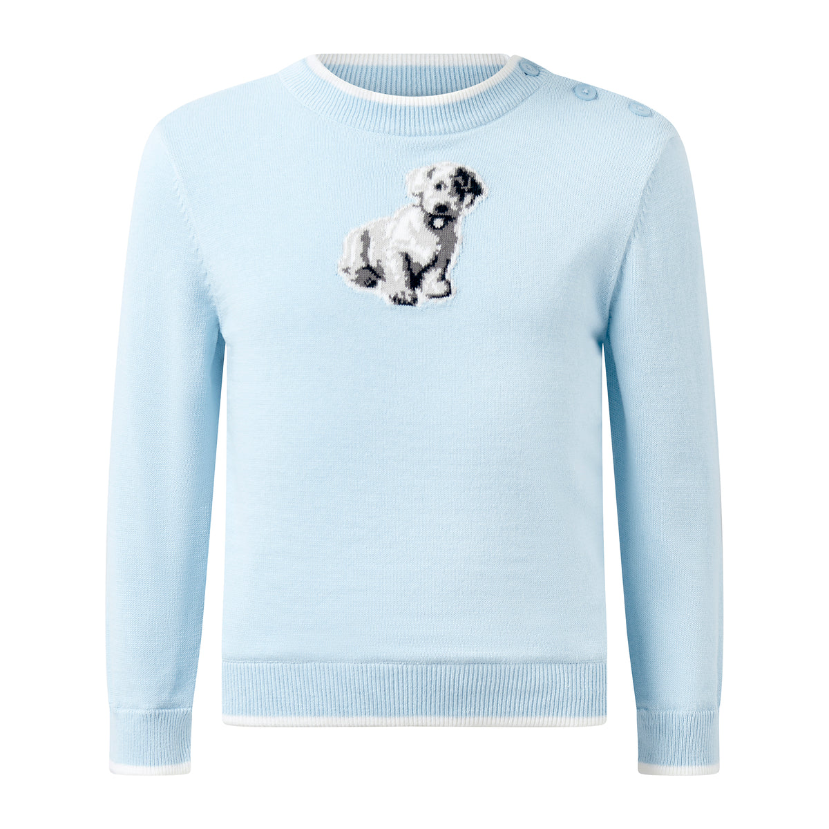 Blue Puppy Sweater