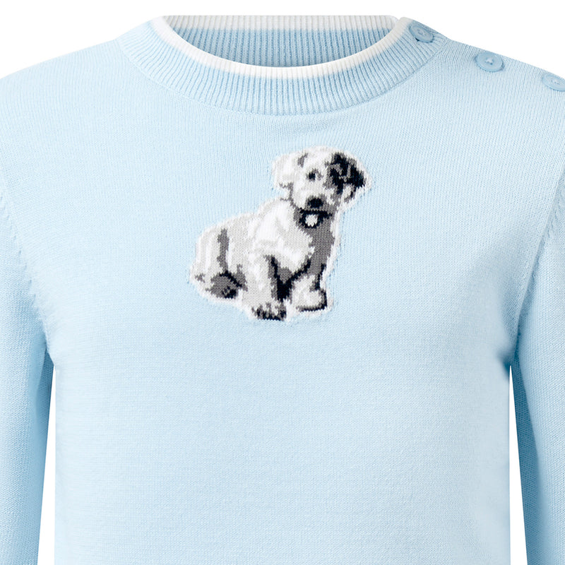 Blue Puppy Sweater