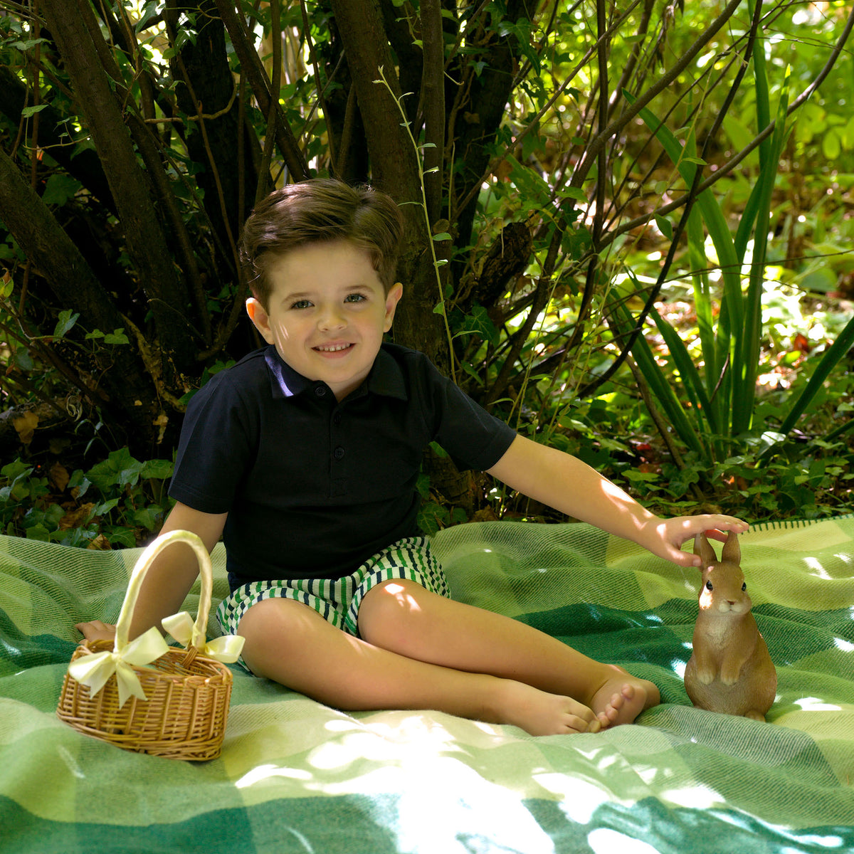Navy & Green Stripe Shorts