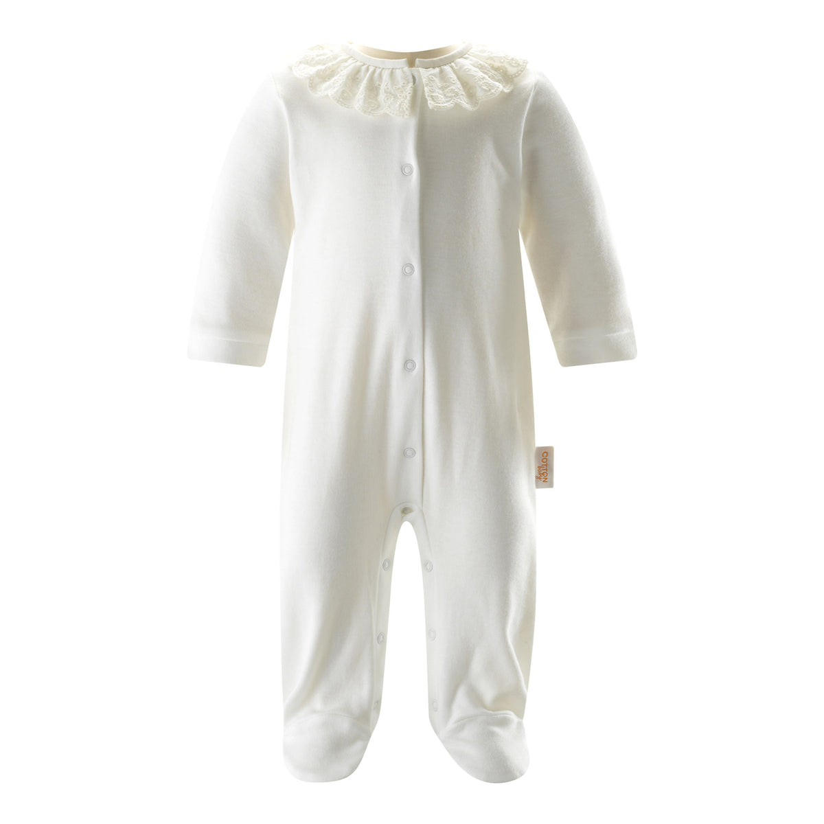 New Arrival Bear Hamper