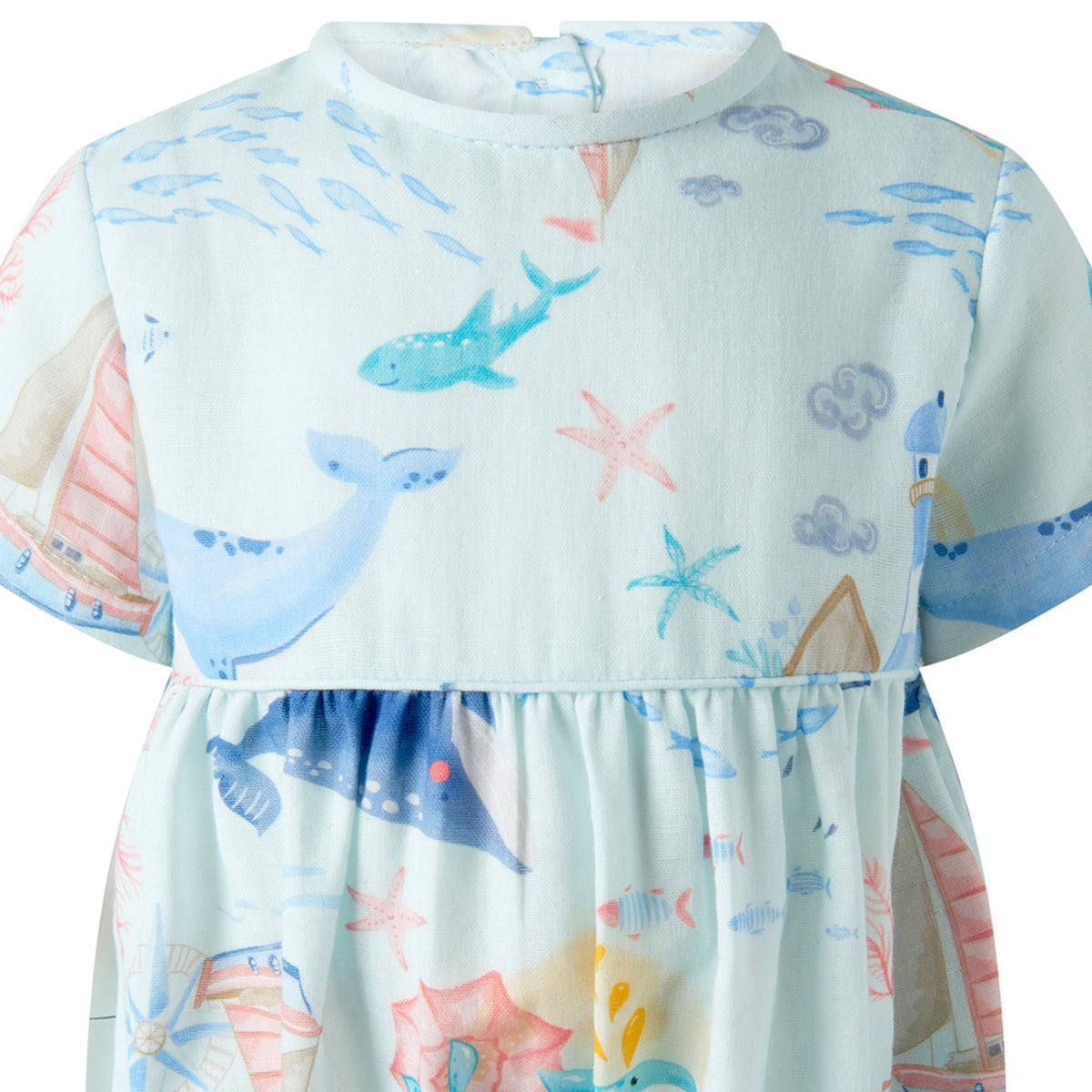 Whale Bubble