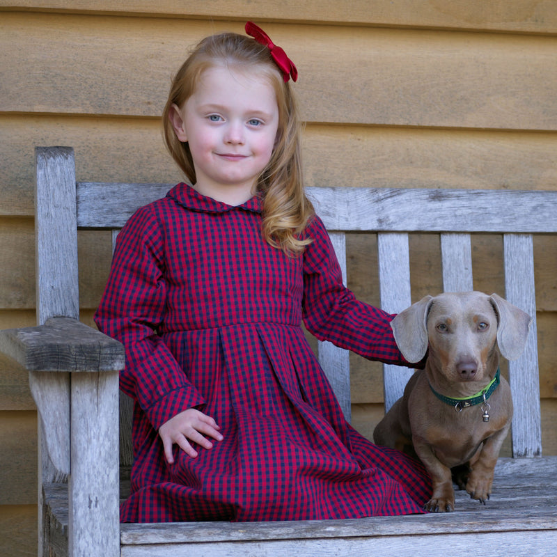 Check Lumberjack Pleated Dress