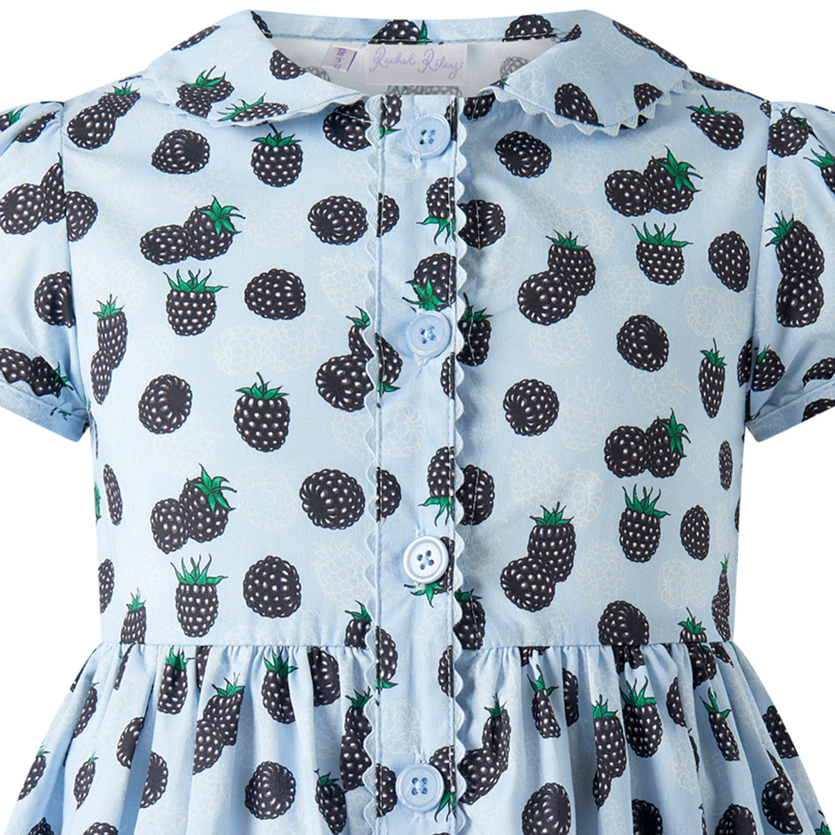Blackberry Button-Front Dress