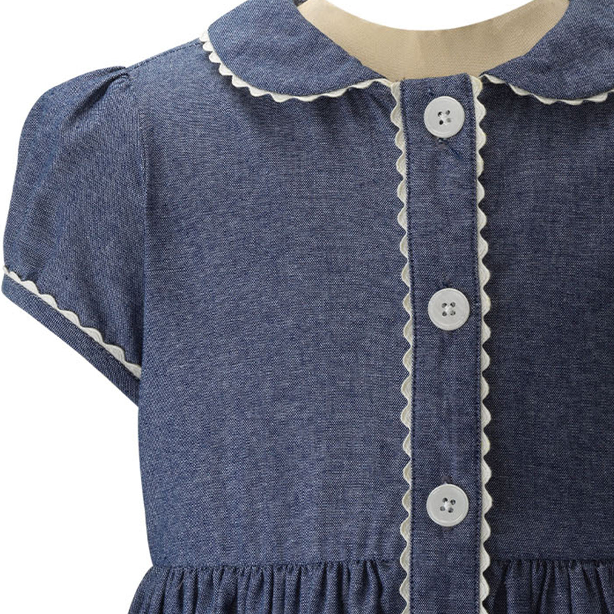 Chambray Button-front Dress