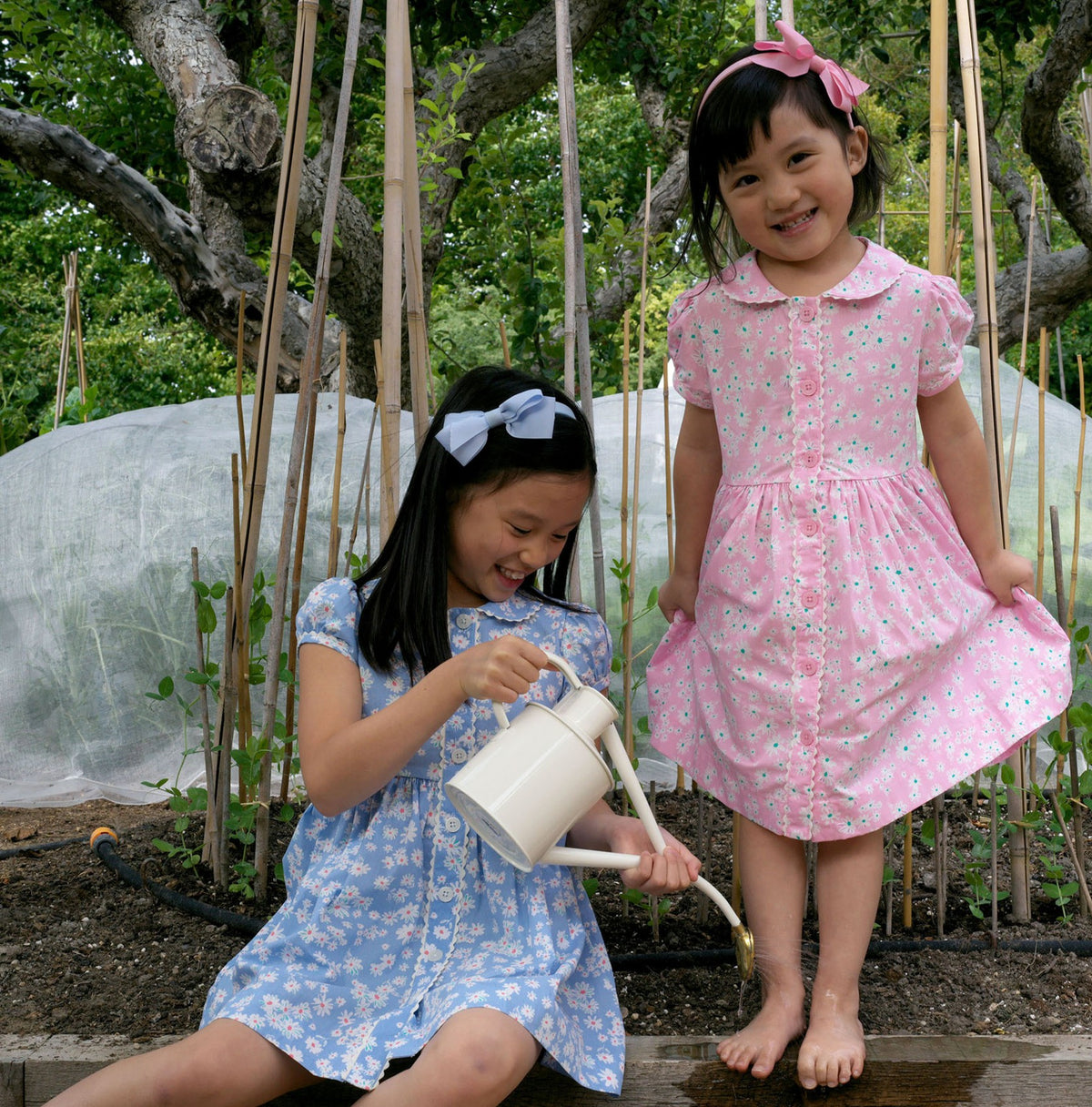 Pink Daisy Button-front Dress