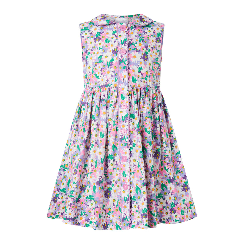 Aster Sleeveless Button-front Dress