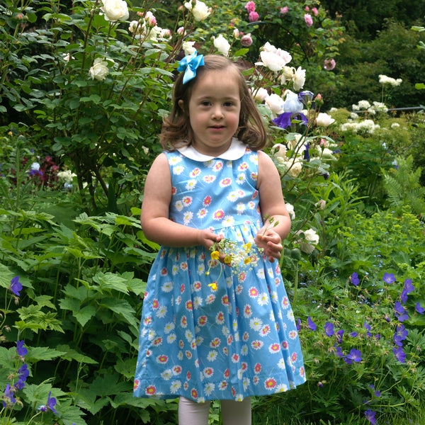 Daisy Peter Pan Collar Dress