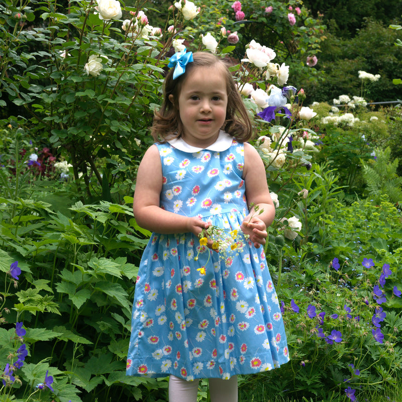 Daisy Peter Pan Collar Dress