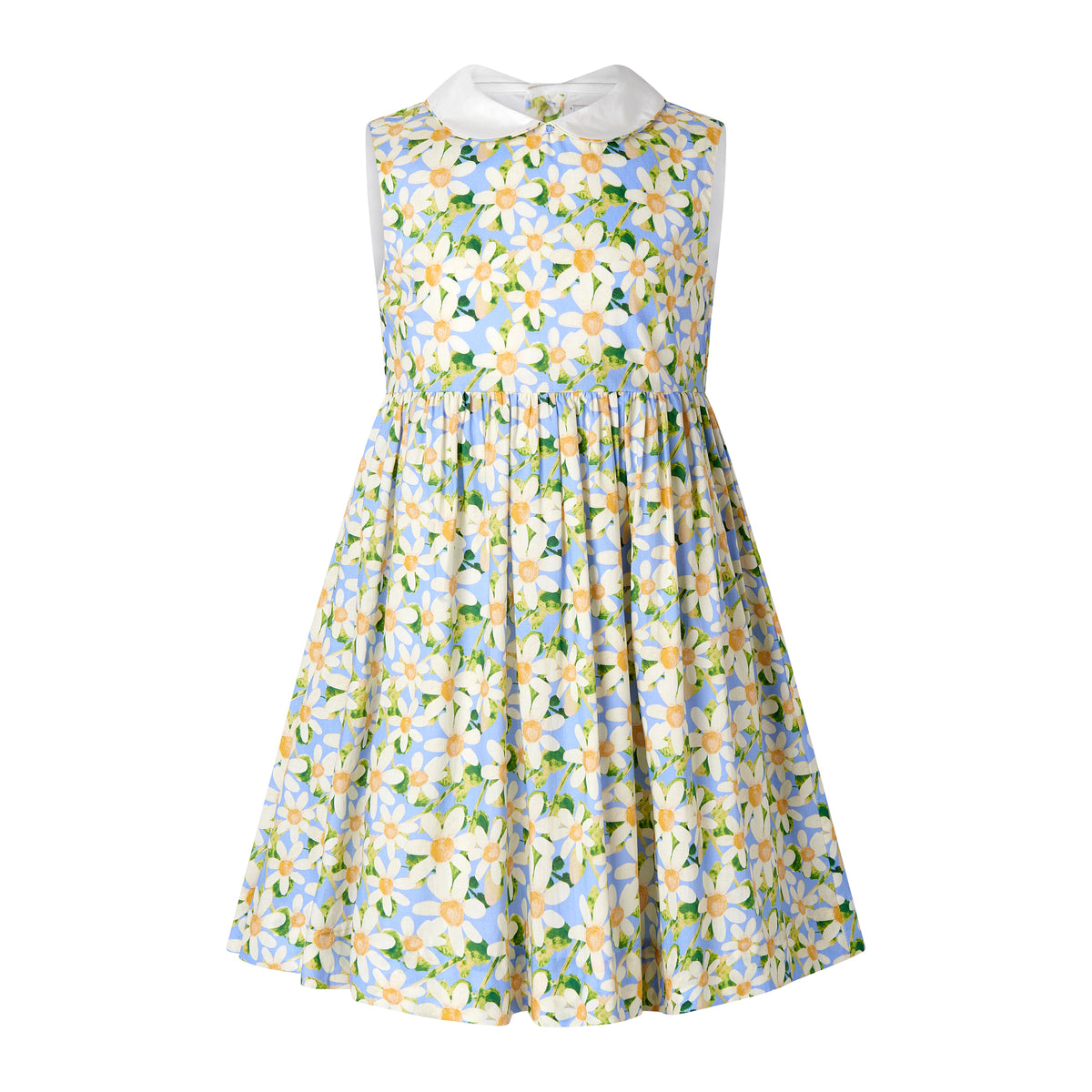 Daisy Peter Pan Collar Dress