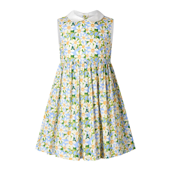 Daisy Peter Pan Collar Dress