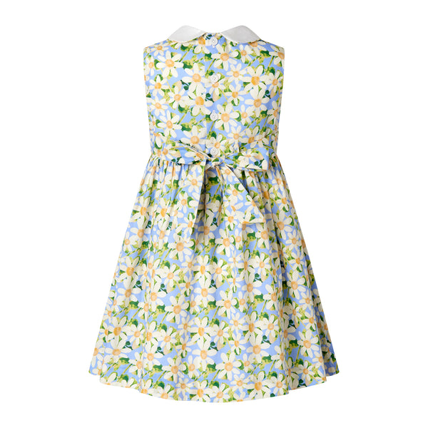 Daisy Peter Pan Collar Dress
