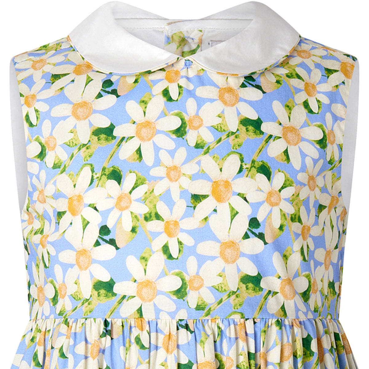 Daisy Peter Pan Collar Dress