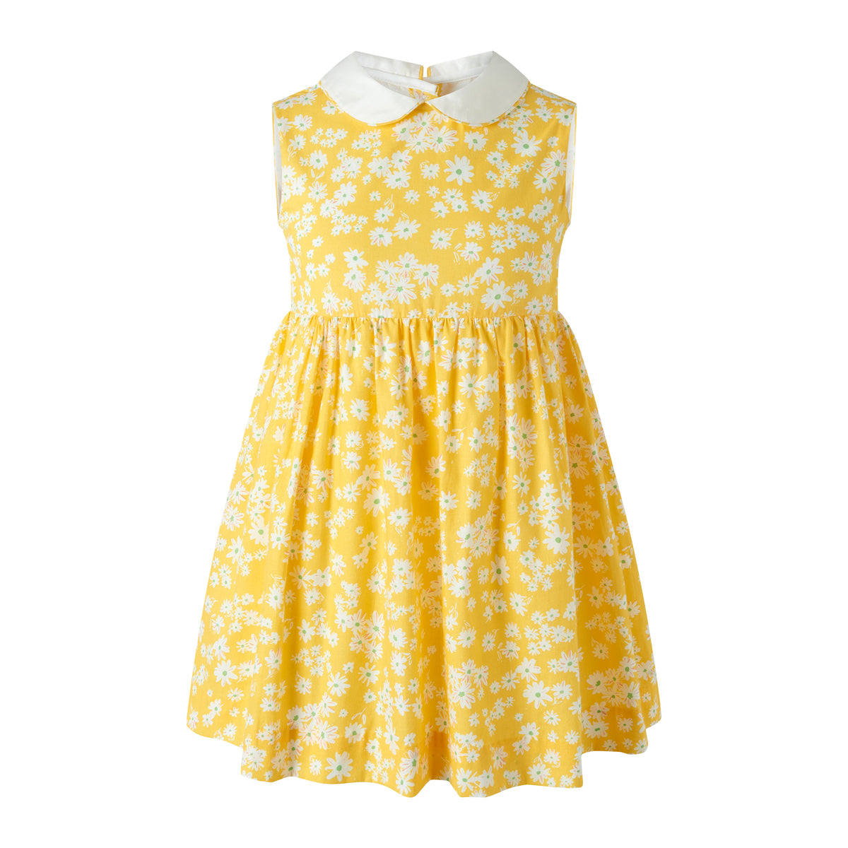 Daisy Peter Pan Collar Dress
