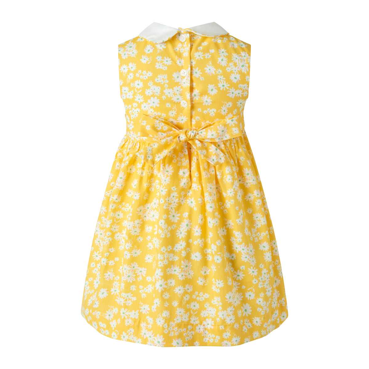 Daisy Peter Pan Collar Dress