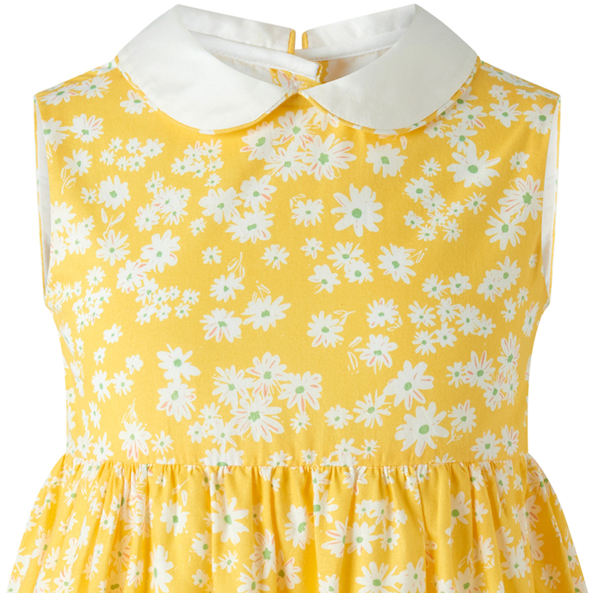 Daisy Peter Pan Collar Dress