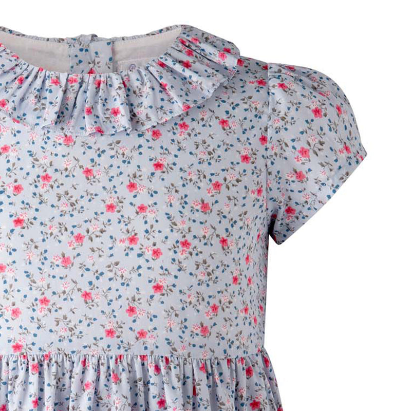 Mini Bouquet Frill Collar Dress