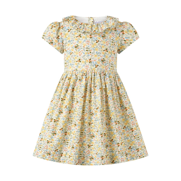 Ditsy Meadow Frill Collar Dress