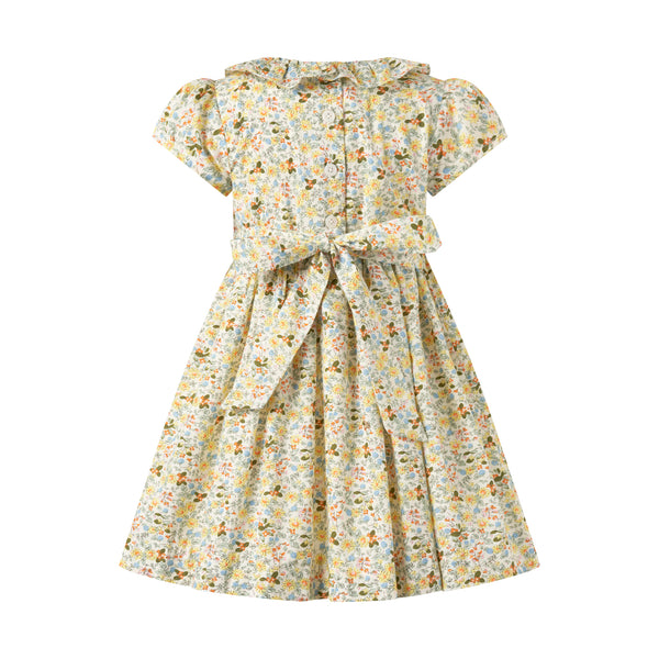Ditsy Meadow Frill Collar Dress