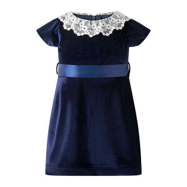 Navy Lace Collar Velvet Dress
