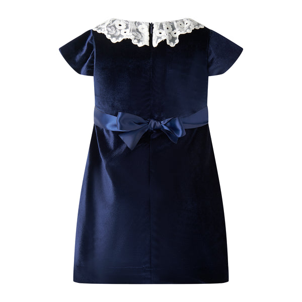 Navy Lace Collar Velvet Dress