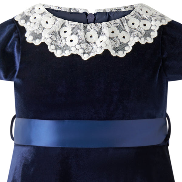 Navy Lace Collar Velvet Dress