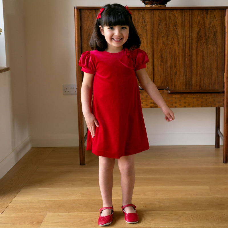 Bow Shoulder Velvet Dress