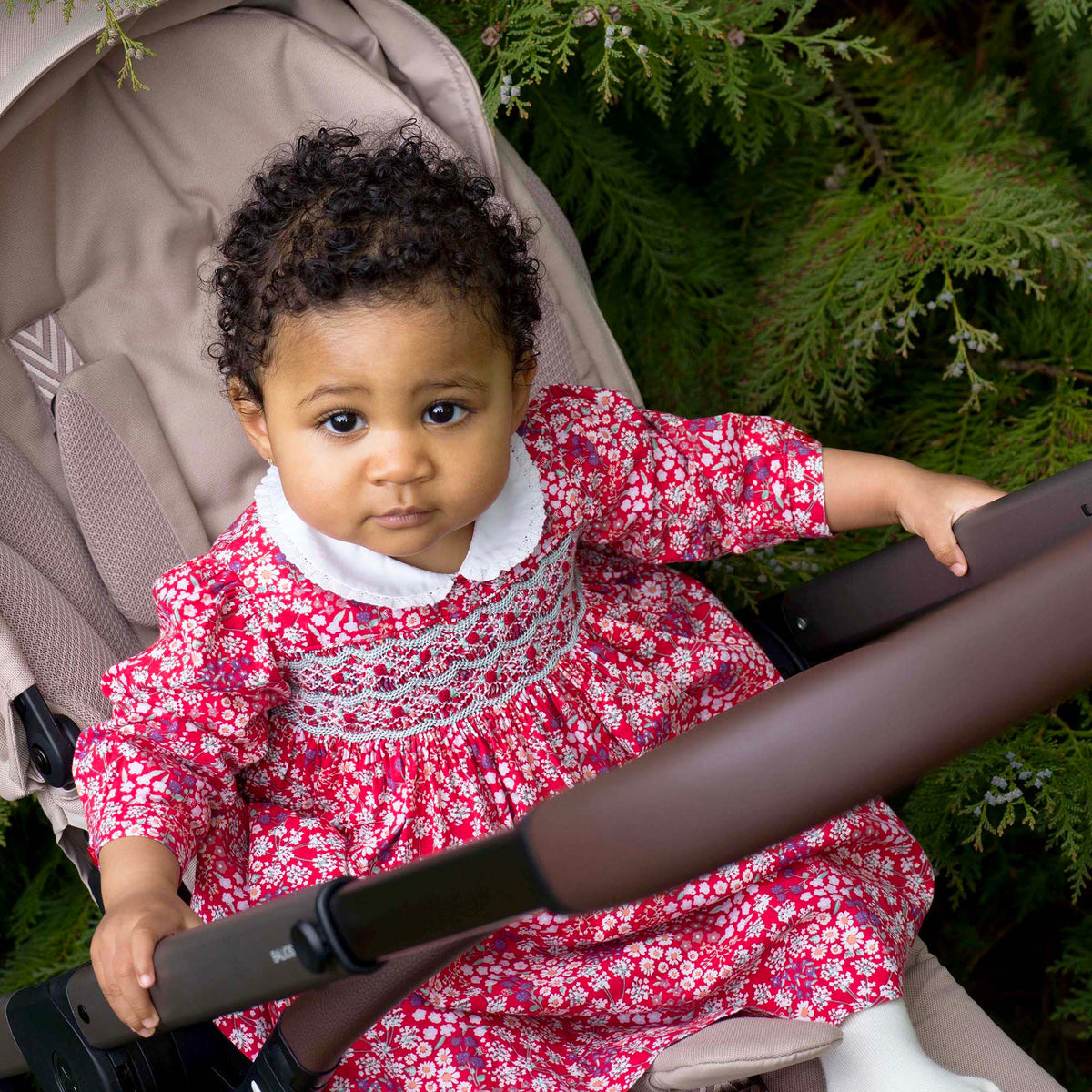 Bouquet Smocked Dress and Bloomers