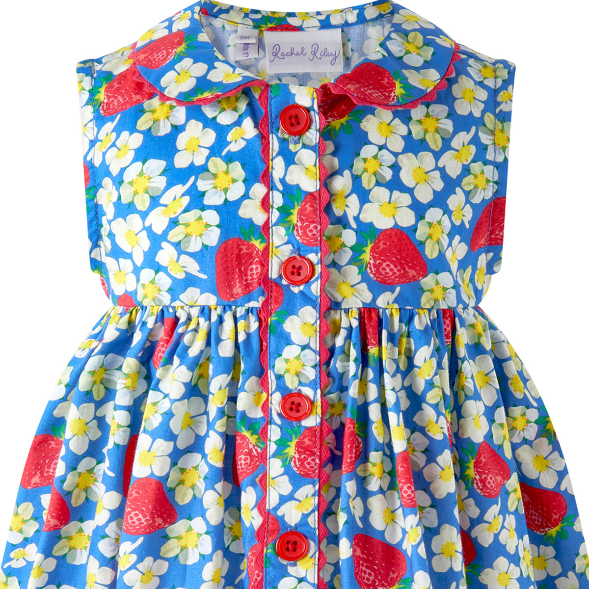 Strawberry Button-Front Dress and Bloomers