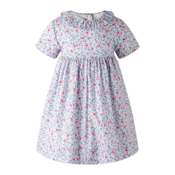 Blue Mini Bouquet Frill Collar Dress