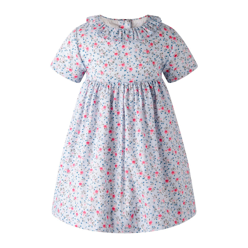 Blue Mini Bouquet Frill Collar Dress