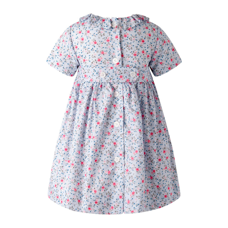 Blue Mini Bouquet Frill Collar Dress