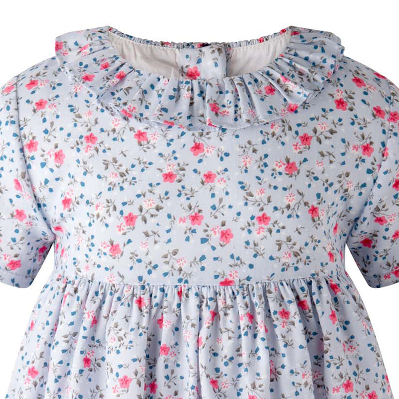 Blue Mini Bouquet Frill Collar Dress