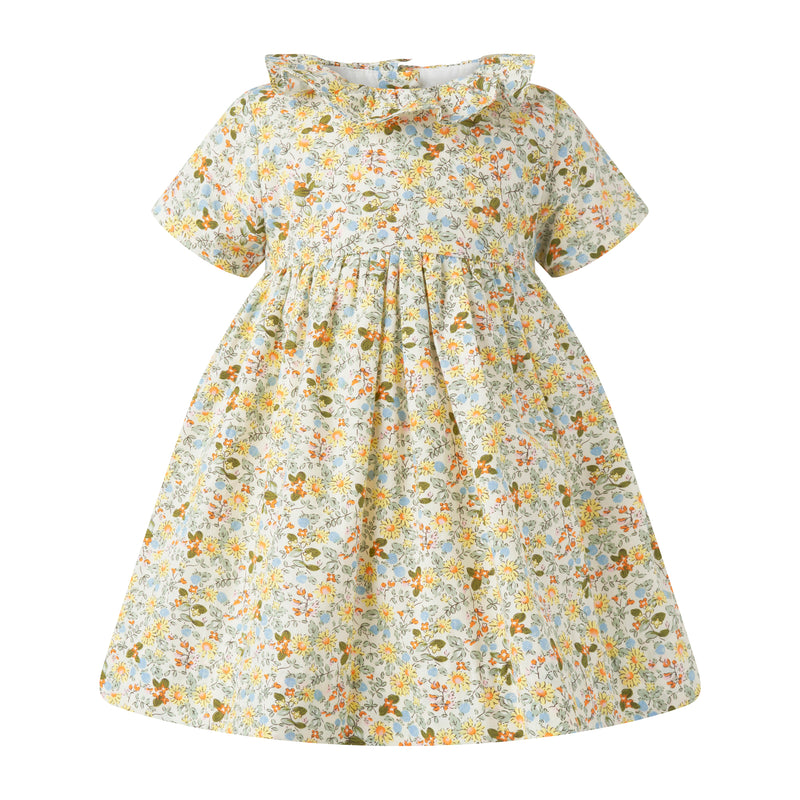 Ditsy Meadow Frill Collar Dress